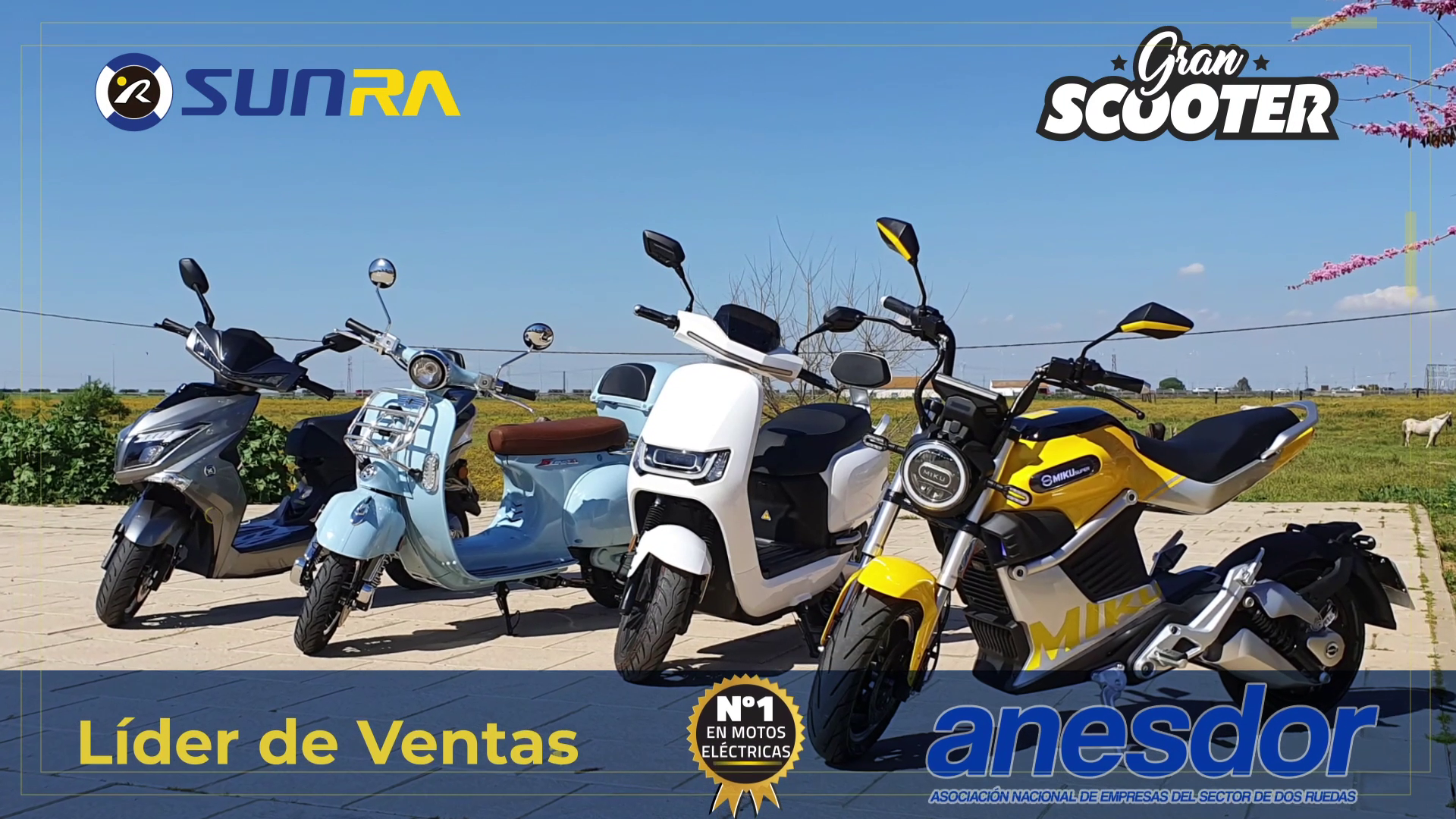 lider_ventas_sunra